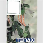 RETE PER RAMPICANTI 153 X 100