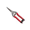 FORBICE COGLI UVA RETTA 19CM