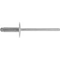 RIVETTO A STRAPPO TESTA LARGA 4,8x16MM 100PZ
