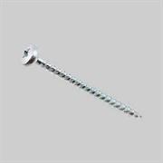 VITI TRUCIOLARI TC ZINCATE 5X20MM 20PZ