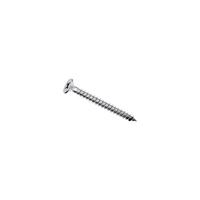 VITI TRUCIOLARI TSP INOX 4X20MM 20PZ