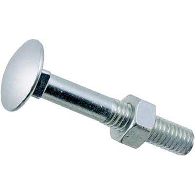 VITE CON QUADRO E DADO 5X25MM 6PZ