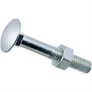 VITE CON QUADRO E DADO 5X25MM 6PZ