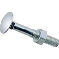 VITE CON QUADRO E DADO 5X25MM 6PZ