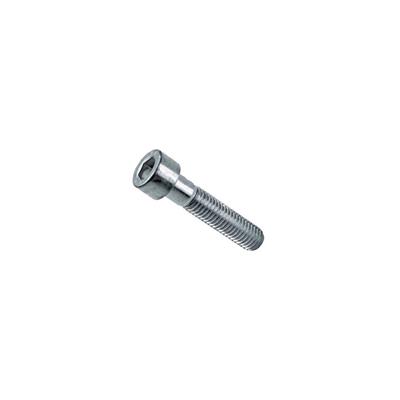VITI TESTA CILINDRICA CAVA ESAGONALE 5X30MM 10PZ