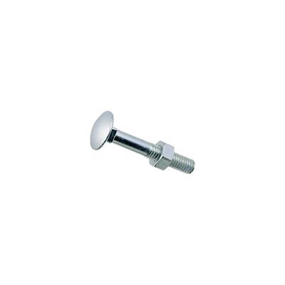 VITE TESTA TONDA CON QUADRO SOTTOTESTA E DADO 10X40MM 10PZ