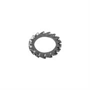 RONDELLE DENTELLATE M12 10PZ