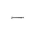 TASSELLO CON VITE 'DIBOLT' M10 Ø12x100MM 5PZ