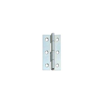 CERNIERA STRETTA CON PERNO FISSO 40x30MM 2PZ