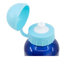 BORRACCIA ALLUMINIO 500 ML