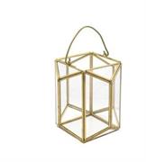TERRARIUM PORTAPIANTA 135x120x120