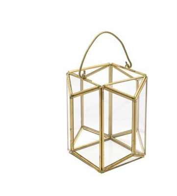 TERRARIUM PORTAPIANTA 135x120x120